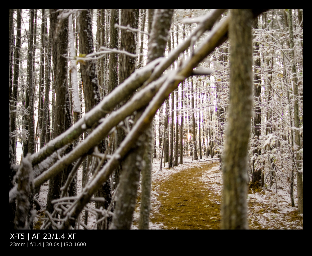 A shot of a trail through the woods. The trees are dusted with snow.
