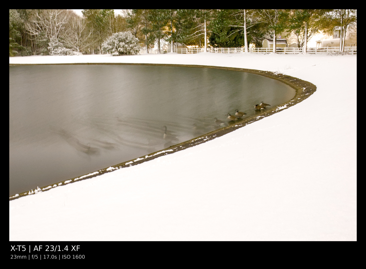 A shot by the lake. There is snow on the ground, and geese and ducks in the foreground, but they are somewhat blurred due to the long exposure.