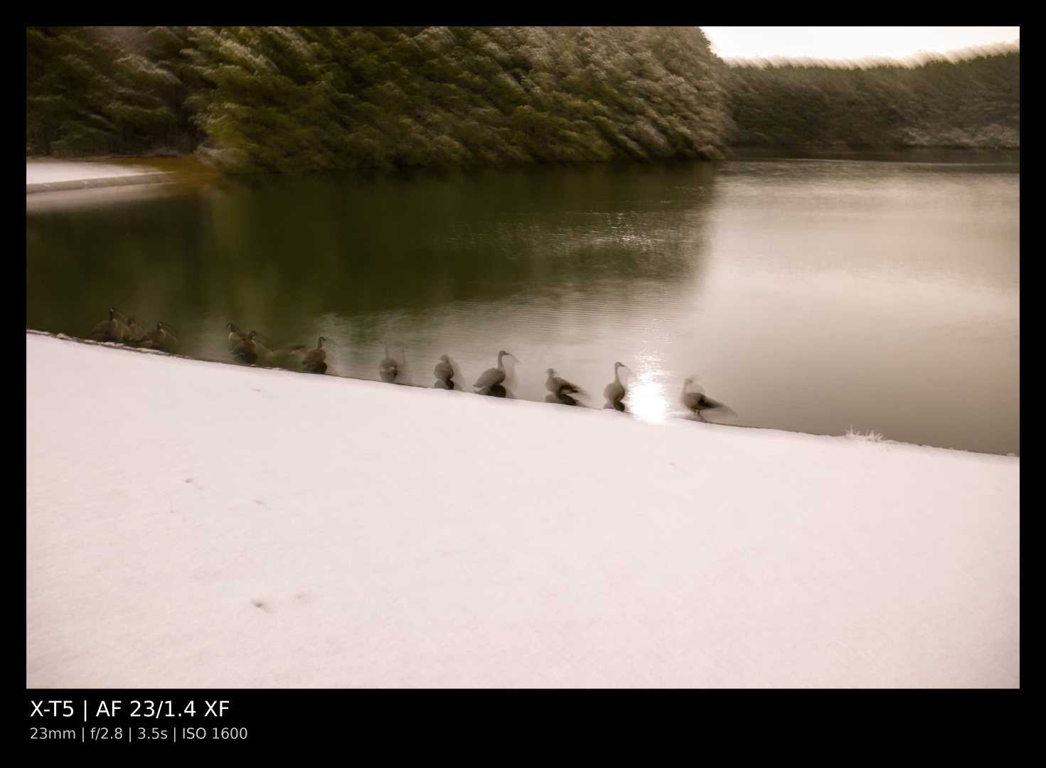 A shot by the lake. There is snow on the ground, and geese in the foreground, but they are somewhat blurred due to the long exposure.